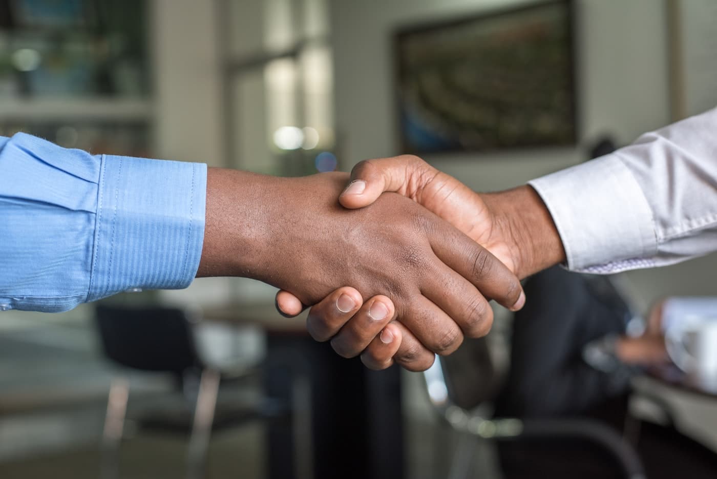 Professional legal consultation